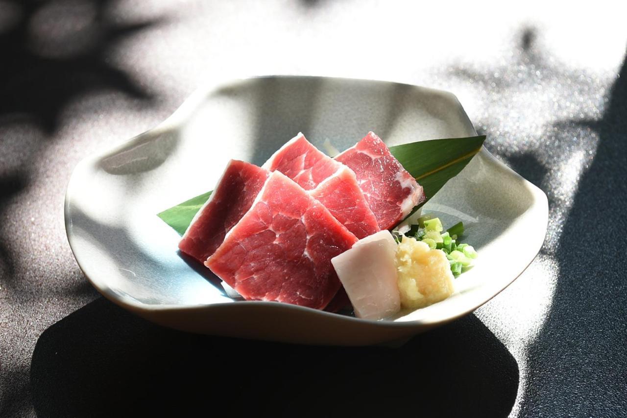 Hitoyoshi Ryokan Exterior photo